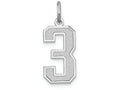 FJC Finejewelers 14k White Gold Medium Satin Number 3 Charm