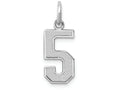 FJC Finejewelers 14k White Gold Medium Satin Number 5 Charm