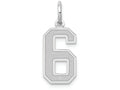 FJC Finejewelers 14k White Gold Medium Satin Number 6 Charm
