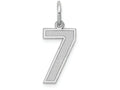 FJC Finejewelers 14k White Gold Medium Satin Number 7 Charm