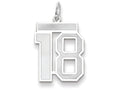 FJC Finejewelers 14k White Gold Medium Satin Number 18 Charm