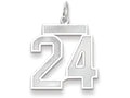 FJC Finejewelers 14k White Gold Medium Satin Number 24 Charm