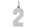 FJC Finejewelers 14k White Gold Small Satin Number 2 Charm