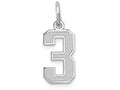 FJC Finejewelers 14k White Gold Small Satin Number 3 Charm