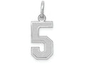 FJC Finejewelers 14k White Gold Small Satin Number 5 Charm
