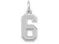 FJC Finejewelers 14k White Gold Small Satin Number 6 Charm