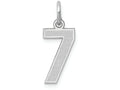 FJC Finejewelers 14k White Gold Small Satin Number 7 Charm