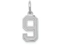 FJC Finejewelers 14k White Gold Small Satin Number 9 Charm