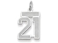 FJC Finejewelers 14k White Gold Small Satin Number 21 Charm