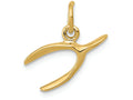 FJC Finejewelers 14k Yellow Gold Wishbone Charm