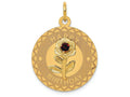 FJC Finejewelers 14k Yellow Gold Happy Birthday Disc Charm with CZ Flower