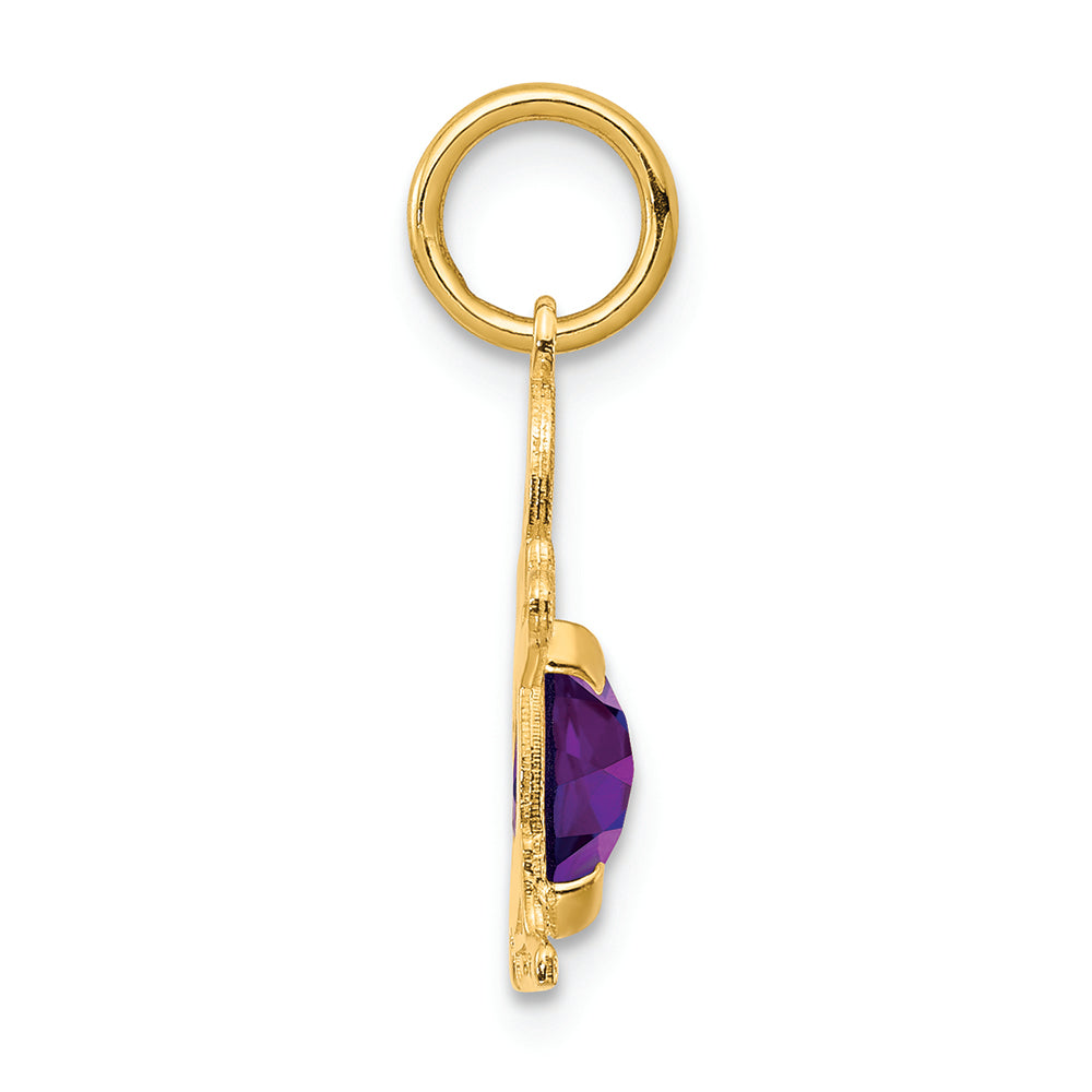 FJC Finejewelers 14k Yellow Gold Boy 6x4 Oval Genuine Amethyst February Birthstone Charm