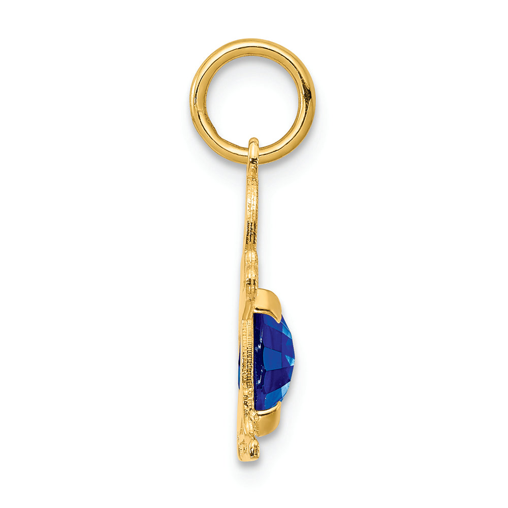 FJC Finejewelers 14k Yellow Gold Boy 6x4 Oval Genuine September Birthstone Charm
