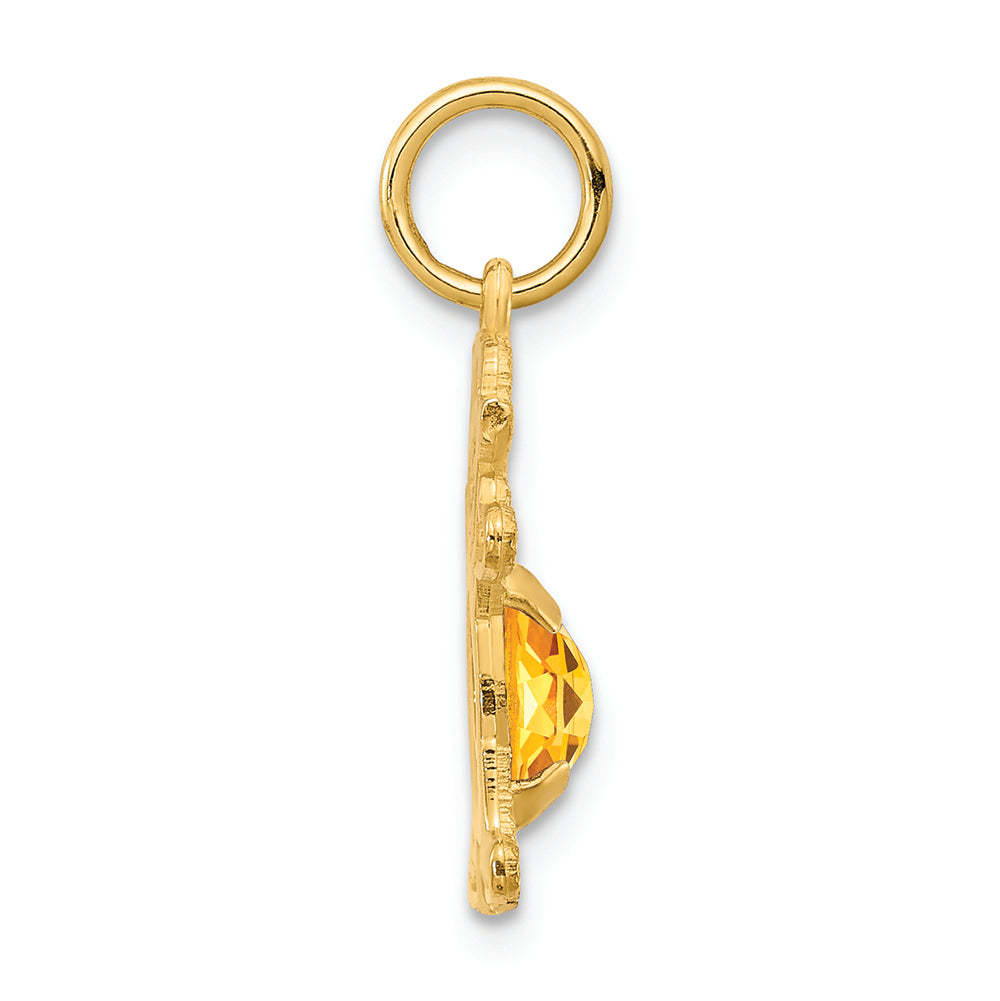 FJC Finejewelers 14k Yellow Gold Girl 6x4 Oval Genuine November Birthstone Charm