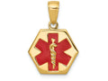 FJC Finejewelers 14k Yellow Gold Enameled Medical Disk Charm
