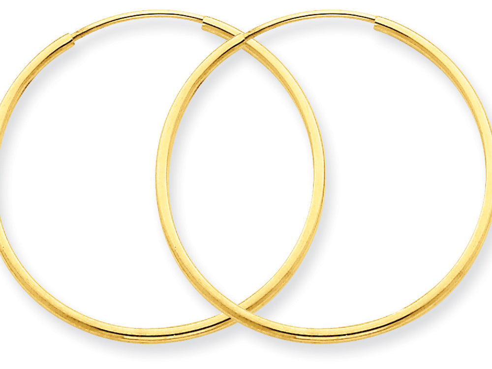 FJC Finejewelers 14k Yellow Gold 30 x 1.25mm Endless Hoop Earring